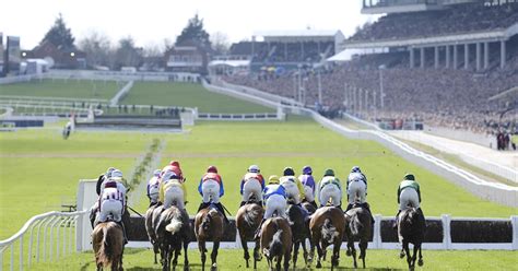 cheltenham best tips|Cheltenham Festival best day 4 tips: the runners to back on .
